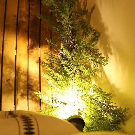 Cozy Kouk Chania (Crete)