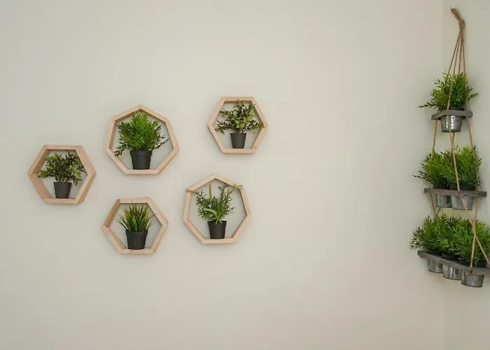 Vakantiehuis Cozy Kouk *